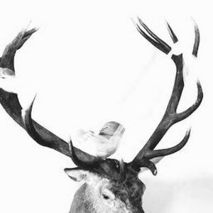 Meet your Posher, Seth